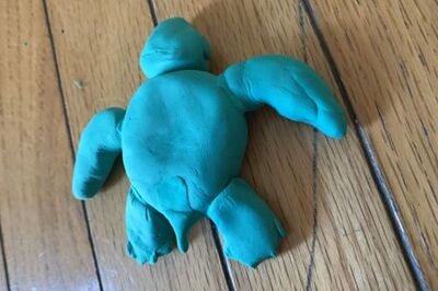 How to Make a Clay Sea Turtle