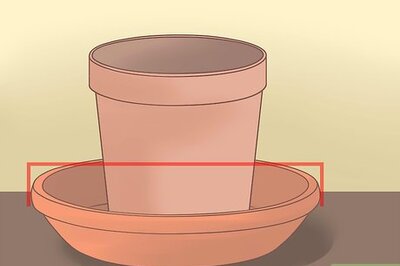 How to Make Decorative Garden Mushrooms