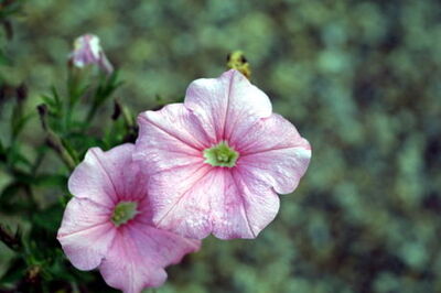 How to De Haze a Photo with GIMP