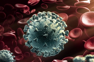 Nipah Virus Claims Second Life in Kerala This Year; Here’s All You Need About The Deadly Infection