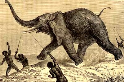 Israeli Archaeologists Find How Early Humans Hunted Elephants In Paleolithic Era