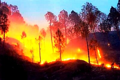 How the Red Flower of Jungle Book Singed Uttarakhand Forests