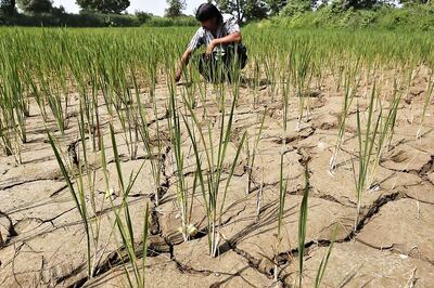 12 More 'Dark Zones' Crop Up in Haryana as Ground Water Dries Up Rapidly