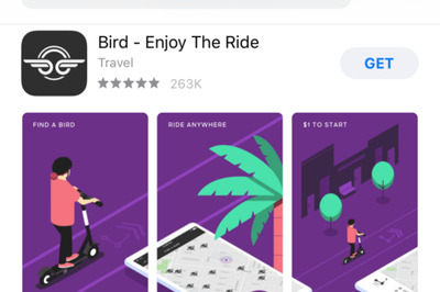 How to Rent a Bird Scooter