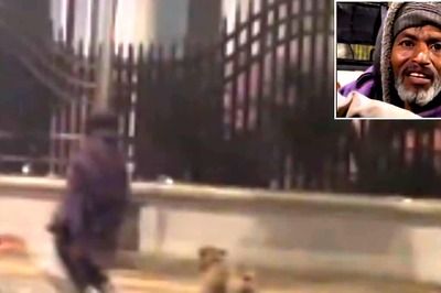 Filmmaker Shares Heartwarming Tale of Poor Man's Bond With Street Dog in Lucknow. Watch Viral Video