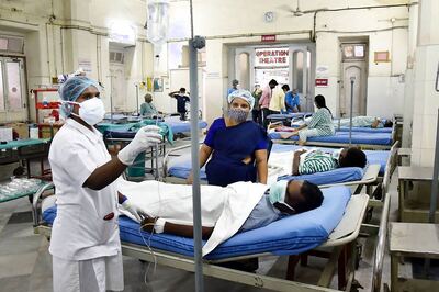 Affordability, Availability of Black Fungus Drug Raises Tensions as Cases Spike in Maharashtra