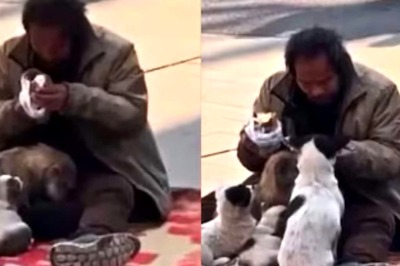 Video Of Homeless Man Feeding His Food To Stray Dogs Leaves Internet Teary-eyed