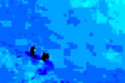 Watch: Jammu And Kashmir Health Workers Brave Heavy Snowfall To Administer Door-To-Door Polio Drops