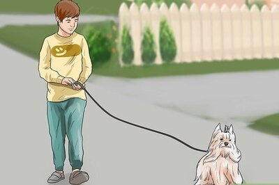 How to Train a Blind Dog
