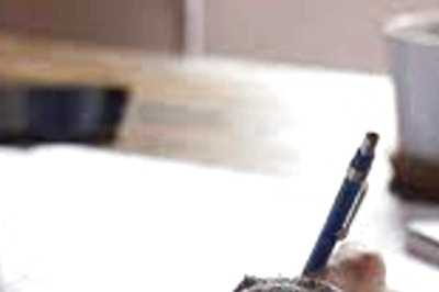 LSAT India Registrations End Today: Know How to Apply for Law Entrance