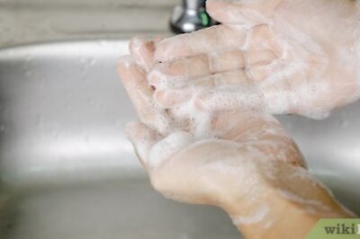 How to Wash Romaine Lettuce