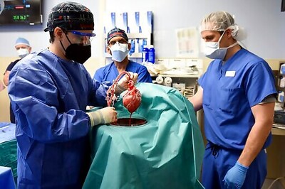 Pig Heart Recipient Continues To Recover From Transplant