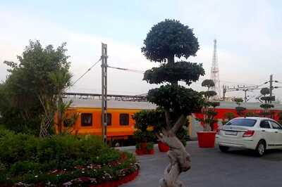 This Tree At New Delhi Railway Station Is Worth Rs 25 Lakh