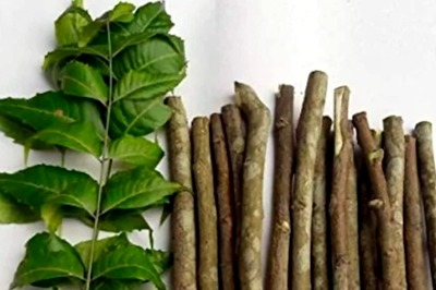 Neem Tree Extract May Help Treat, Cut Spread of COVID-19: Study