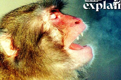 Delhi Cold Wave: Why Does Your Breath Become Visible During Winters? EXPLAINED