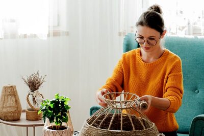 Summer DIY Decor Projects: 10 Easy and Fun Ideas to Elevate Your Space