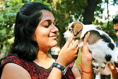 Chennai: Raising a 'paw' for dog adoption