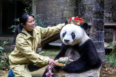 Bye Bye Basi: World's Oldest Captive Panda Dies in China