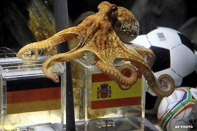 Octopus Paul honoured by Spanish town