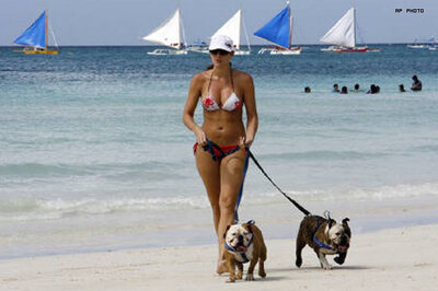 Parasol prevents skin cancer, say experts