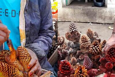 Unique Pine Tree Craft Sustains Generations in Tamil Nadu's Nilgiris District