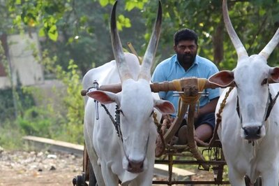 Telangana Chilli Seller Shares Reasons People Should Buy Directly From Farmers