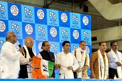 Trinamool Accuses BJP of Removing Banners, Posters Ahead of Amit Shah's Goa Visit