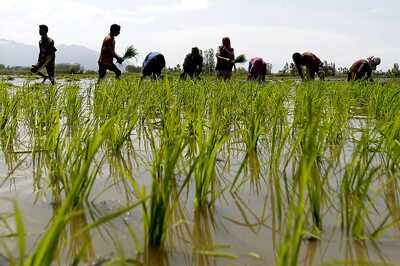 Devendra Fadnavis Asks Centre to Relax Insurance Norms for Rain-hit Farmers