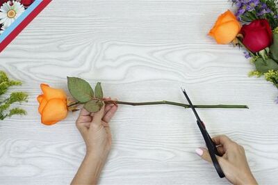 How to Preserve Dead Flowers