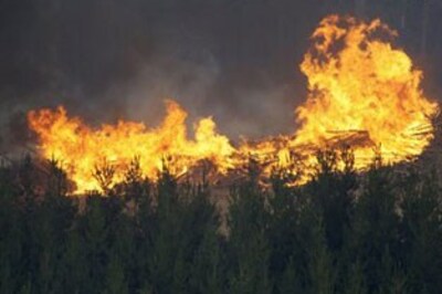 130 dead, Australian fire zone declared crime scene