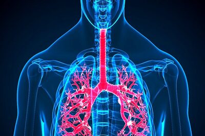 ALK Positive Cancer: A Survivor’s Perspective