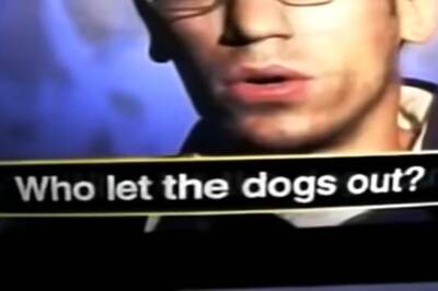 'Who Let The Dogs Out?' The Question Has Finally Been Answered After Years