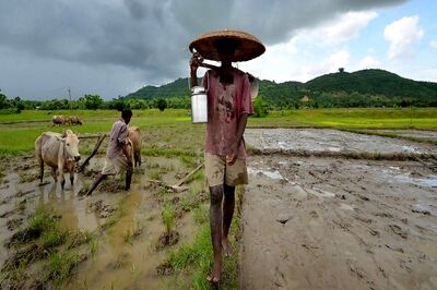 Distressed over Repaying Loan of Rs 5 Lakh, MP Farmer Jumps Before Train, Dies