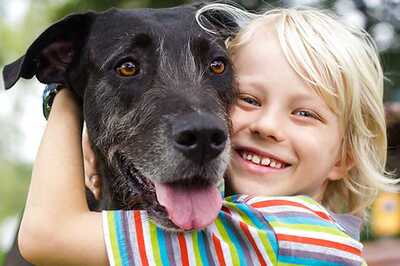 Dog Therapy May Help Student Reduce Stress