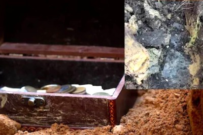 Woman Discovered Mystery Box Buried In Her Garden, And Then This Happened
