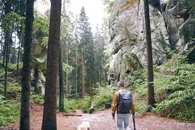 French Man, Walking His Dog, Discovers Dinosaur Fossil; Hid It For Two Years