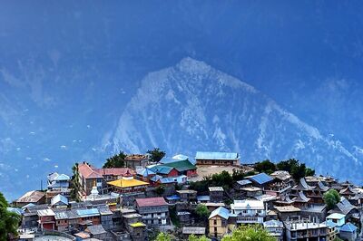 Travelogue: Kalpa is a walk in the nature's lap