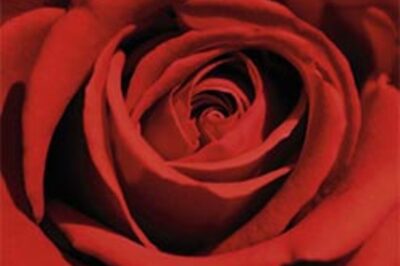 Amritsar shopowner pays with life for loving woman