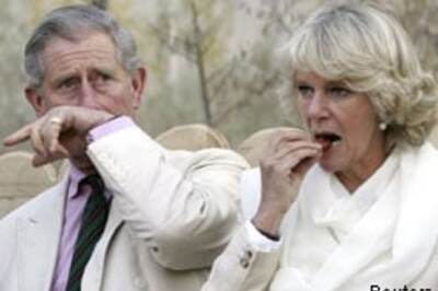 Prince Charles dozes off at Armistice Day