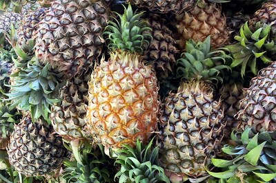 Pineapples Stuffed With 67 Kg of Cocaine Seized From Market in Madrid