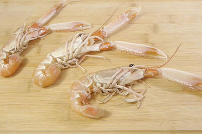 How to Cook Langoustine