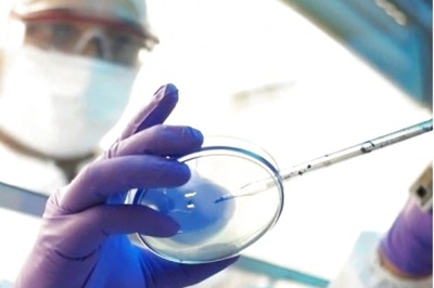 HC Asks Centre for Report on Availability, Imports of Black Fungus Drug