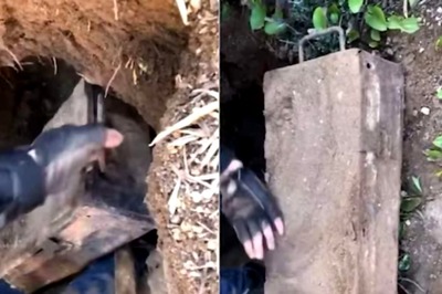 Watch: Man Unearths A Box Filled With Precious Metal Statues