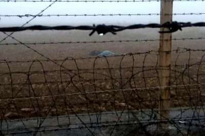 Pakistani Intruder Shot Dead by BSF Personnel Along International Border in Kathua