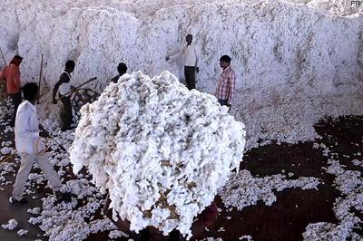 Cotton exports: Oppn creates din in Parliament