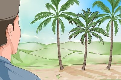 How to Climb a Coconut Tree