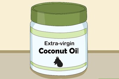 How to Use Coconut Oil for Flea and Skin Treatment on Dogs