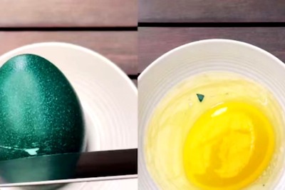 Watch: 650g Emu Egg With Unique Green Shell Has Nutritional Value Of 12 Chicken
