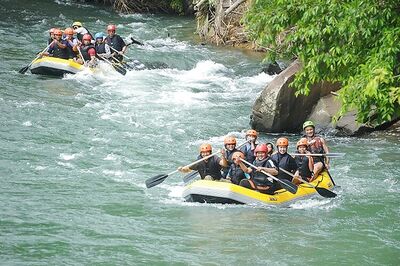 Go on jungle safari, rafting for better risk taking, Centre tells employees