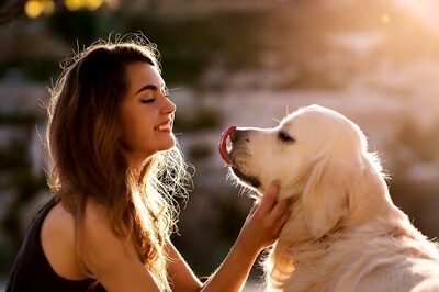 The Common Mistakes Dog Owners Make And How To Correct Them